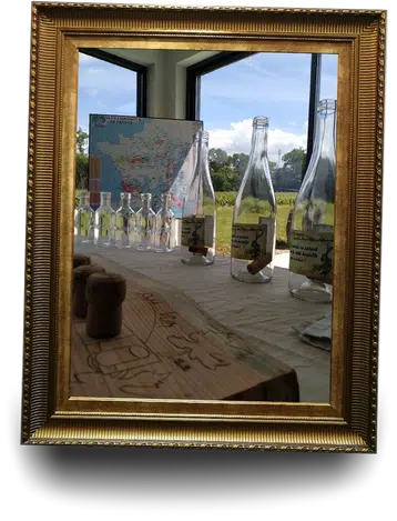 De la vigne au vin, jeu de piste à Cheverny