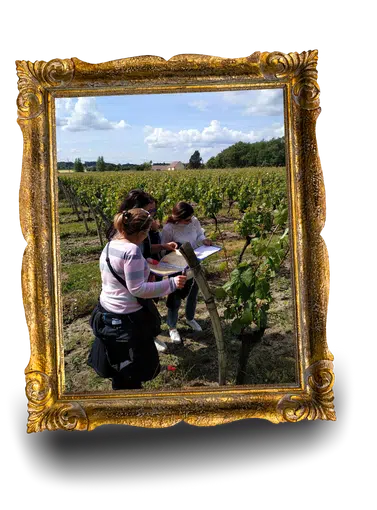 De la vigne au vin, jeu de piste à Cheverny