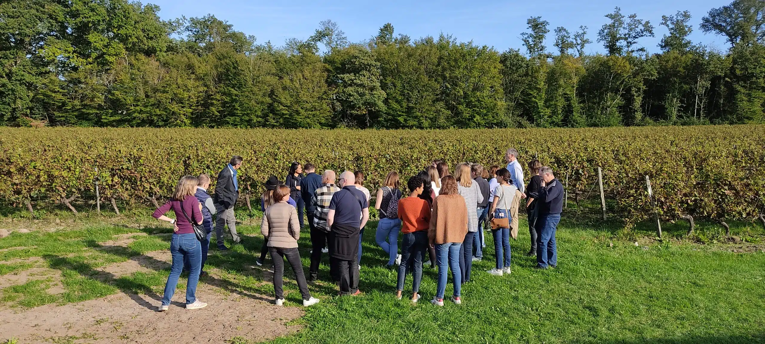 De la vigne au vin, jeu de piste à Cheverny, par Cap Découvertes
