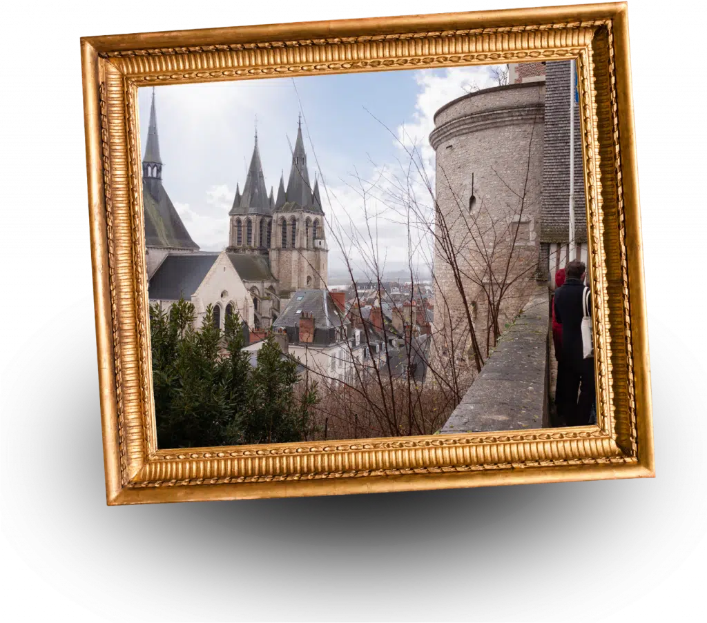 Vue sur la ville de Blois