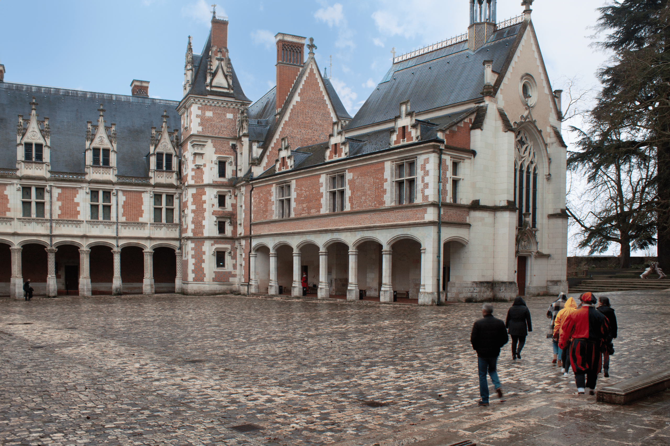 Vue sur le château royal de Blois
